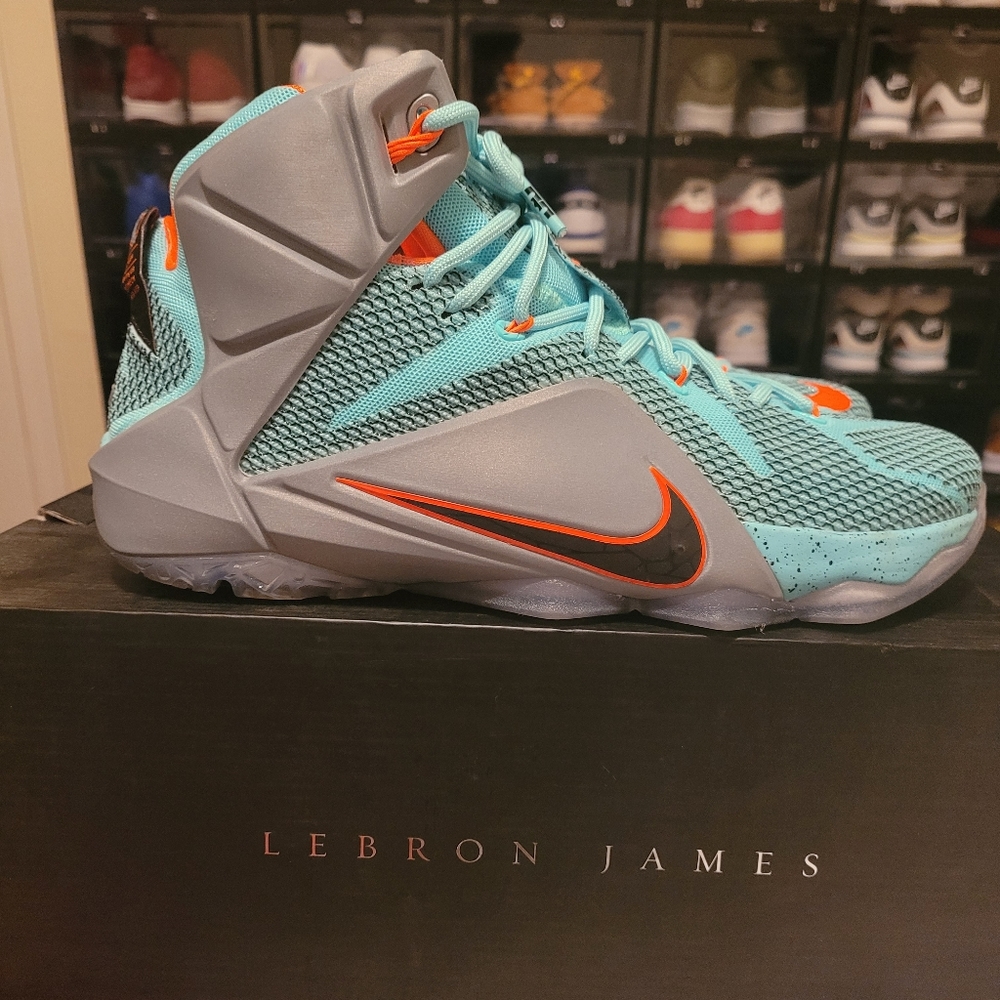 NIKE LEBRON 12